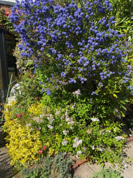 Hightown Gardens